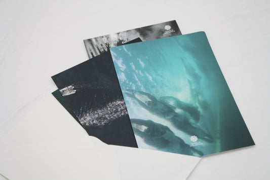 Aquatics Signature Postkarten-Set flash
